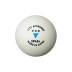 Victas Tischtennisball VP40+ 3*** 